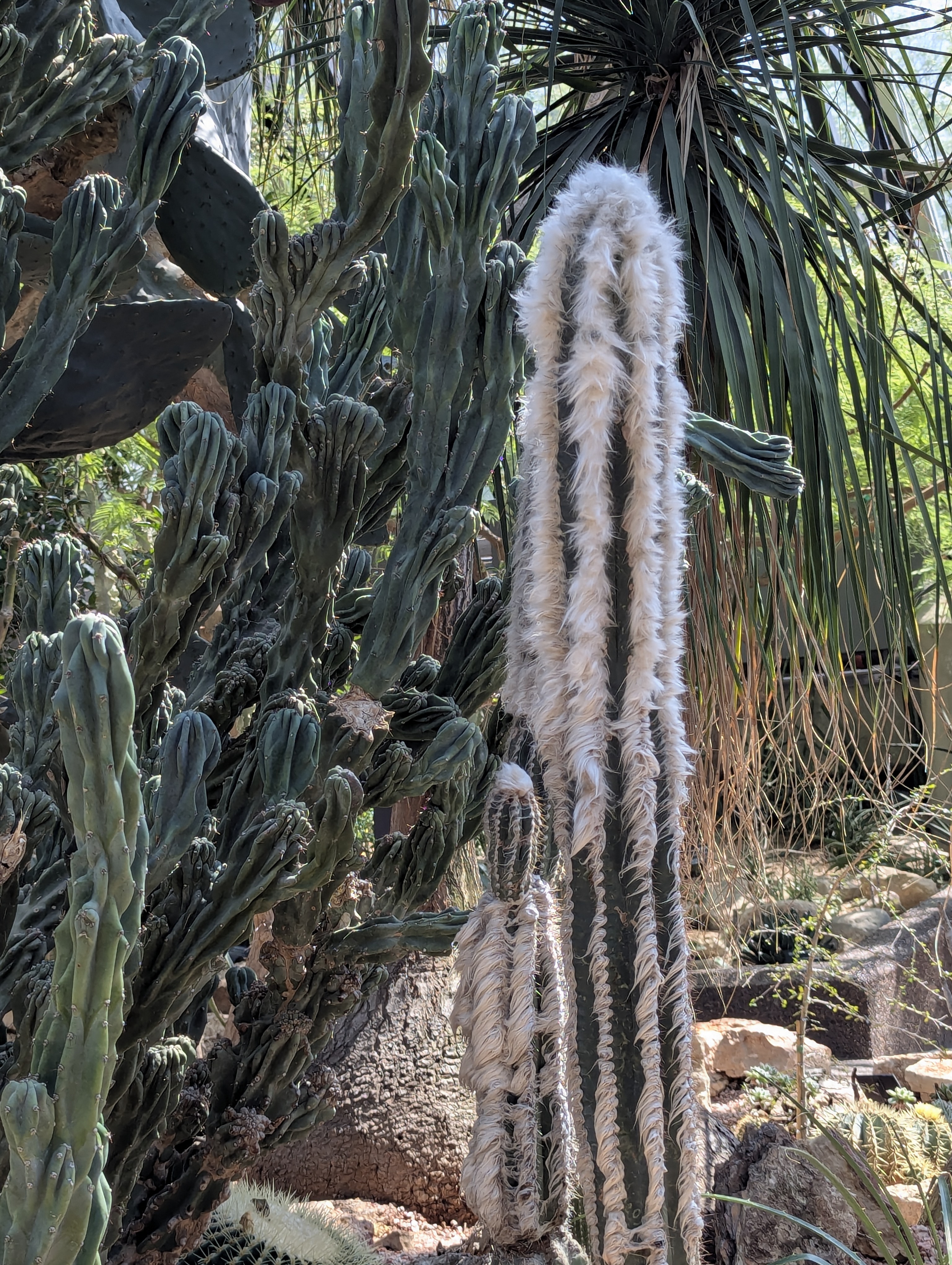 Birthday Trip to Canada, Edmonton, Pyramids, Muttart Observatory